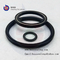 Filled PTFE Spring Energized Lip Seal,PTFE Double Lip Oil Seal,PTFE CARBON GRAPHITE Black Seals supplier