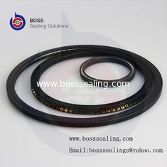 China PTFE/ Spring Energized Seal,F4 Spring Energized Seals,Spring Energized PTFE Seals supplier