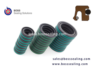 China Carbon fiber filled PTFE rotary spring energized seals with FPM o ring for chemical pump Rexroth supplier