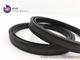 SPGW compact PTFE oil seal double acting piston seal hot sale hydraulic seals brown color supplier