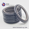 NBR FPM/FPM Rubber O-Ring PTFE Bronze Hydraulic Rod Shaft Step Seal BSJ GSJ HBTS supplier